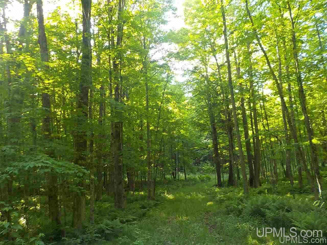35-ac Sheltrow Road Crystal Falls, MI 49920 - Photo 22 of 23