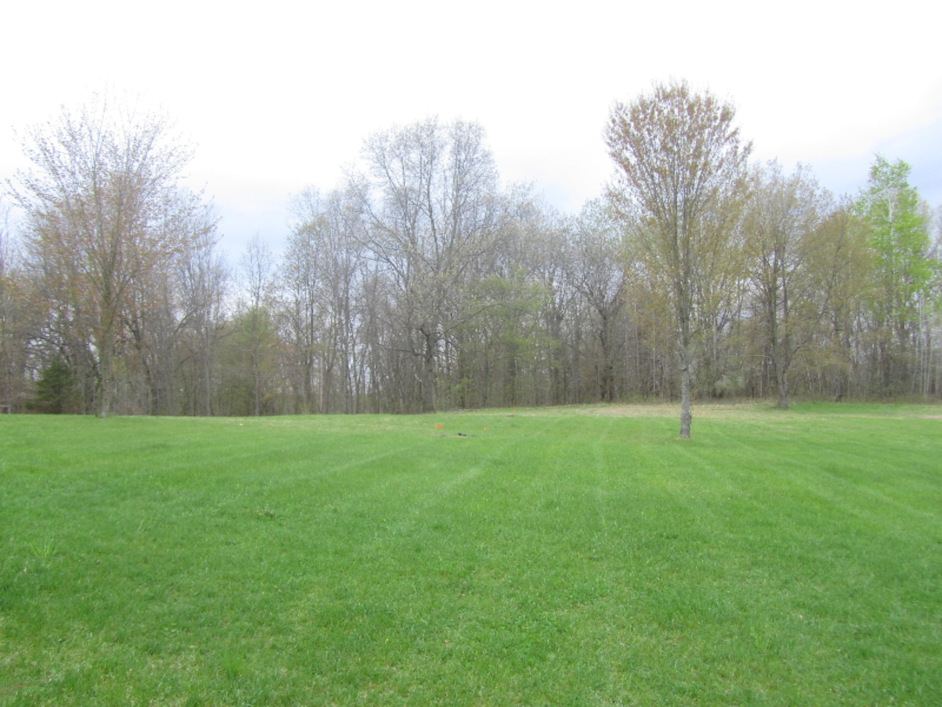3709 3 1/2 Mile Road Athens, MI 49011 - Photo 16 of 20 IMG_4965