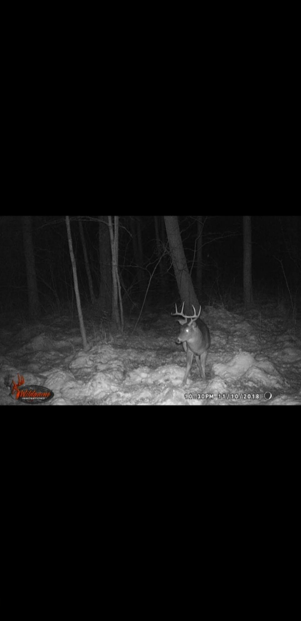 Winter Road Walkerville, MI 49459 - Photo 19 of 23 Screenshot_20181112-164430_Gallery_15869