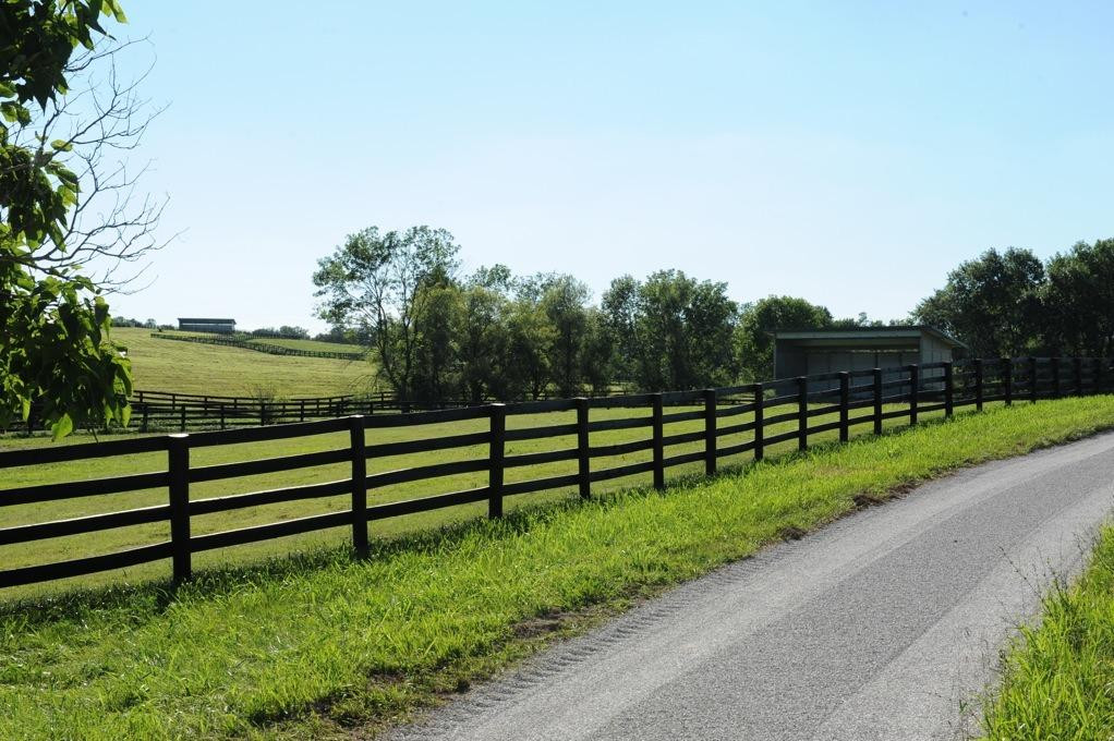 963 Cynthiana Road Paris, KY 40361 - Photo 10 of 21 Photo 10