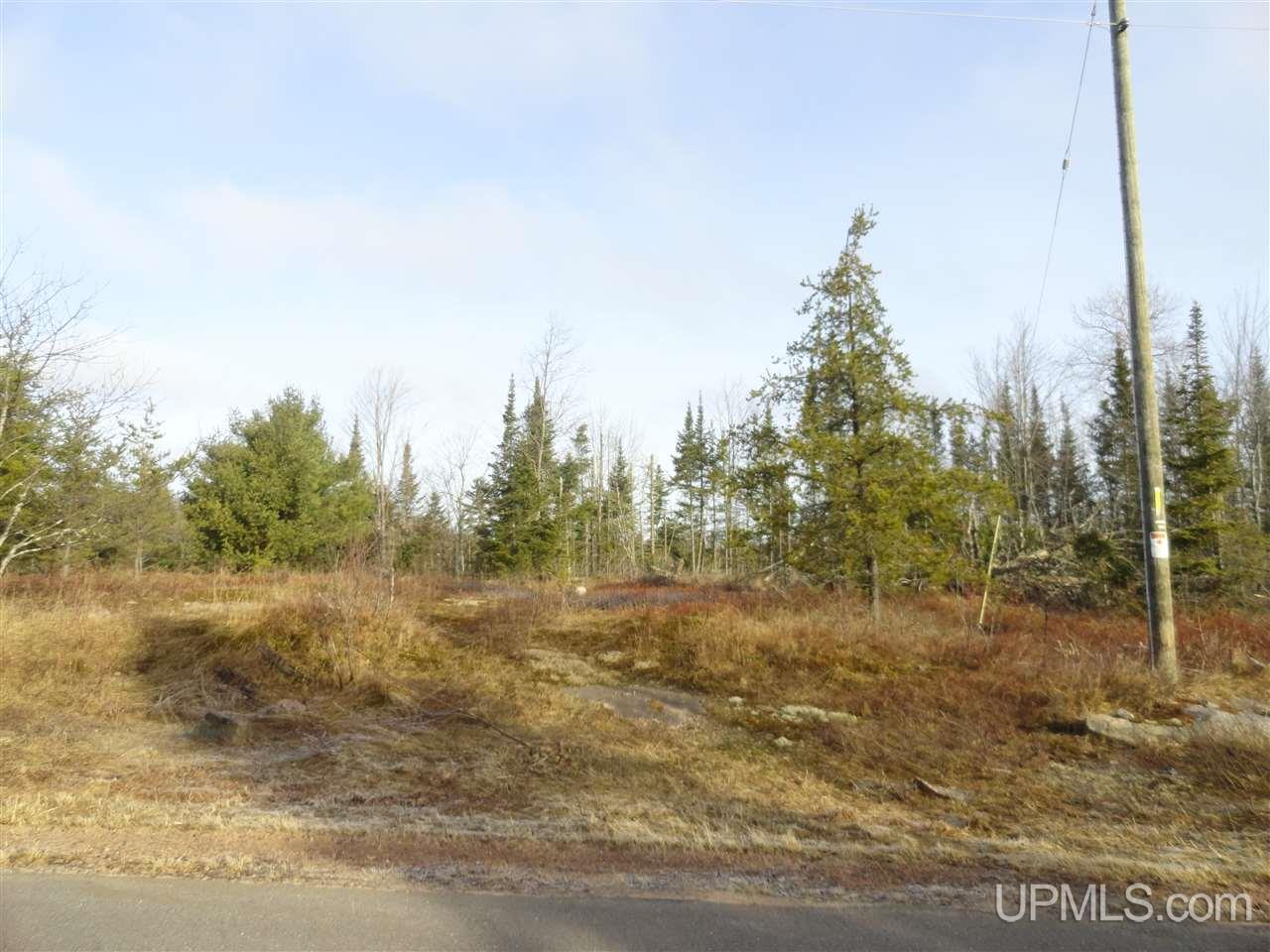 116-acres 116-acres Co Road Negaunee, MI 49866 - Photo 21 of 37