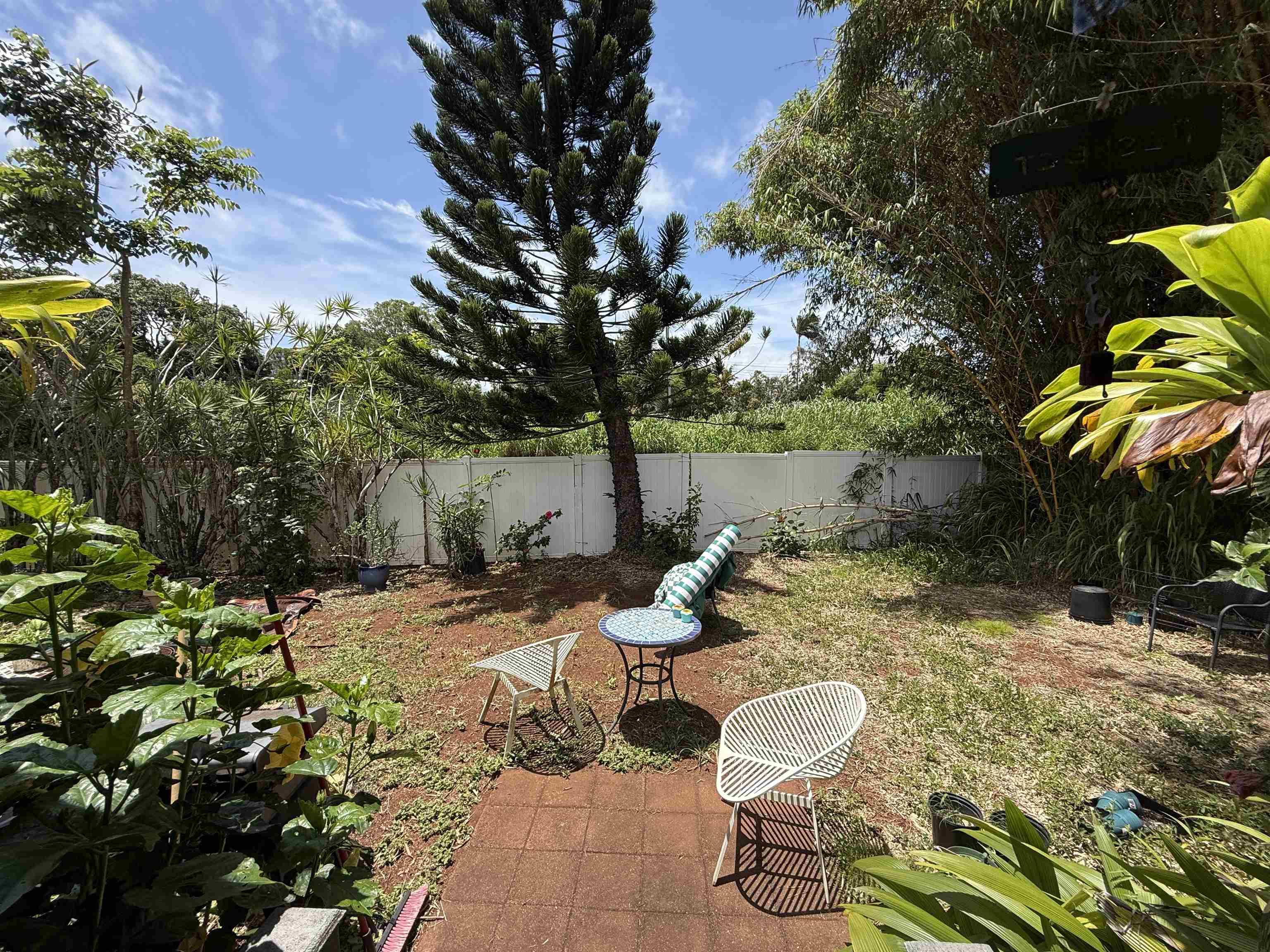 2615 Kaupakalua Road Haiku, HI 96708 - Photo 7 of 47 House 1 - Backyard