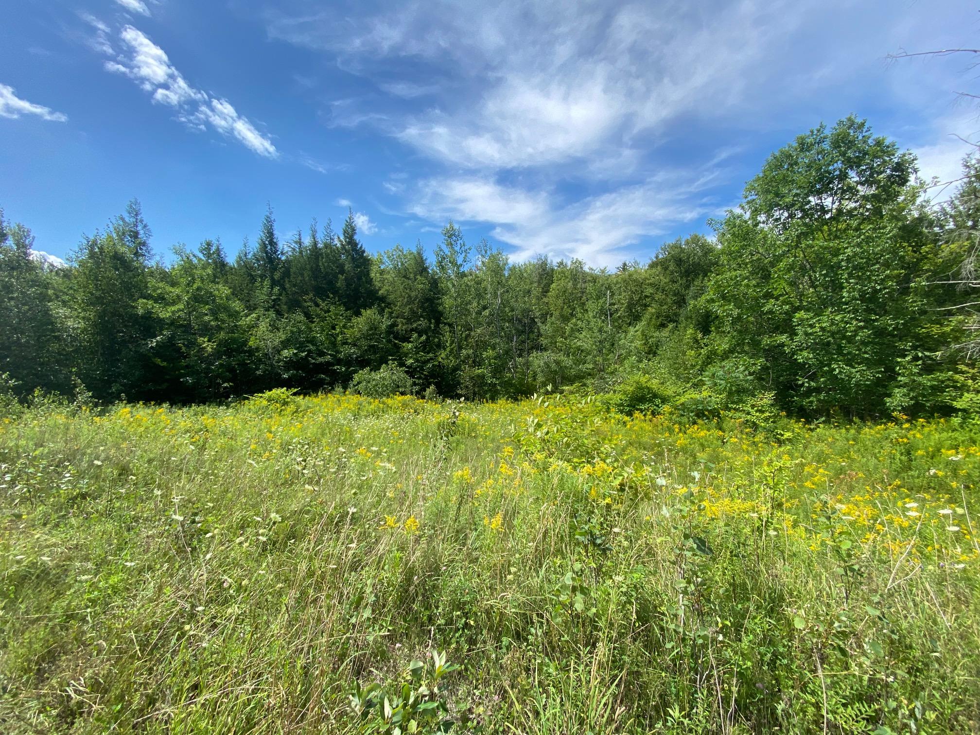 87 Dogtown Road Palmyra, ME 04965 - Photo 2 of 10 2