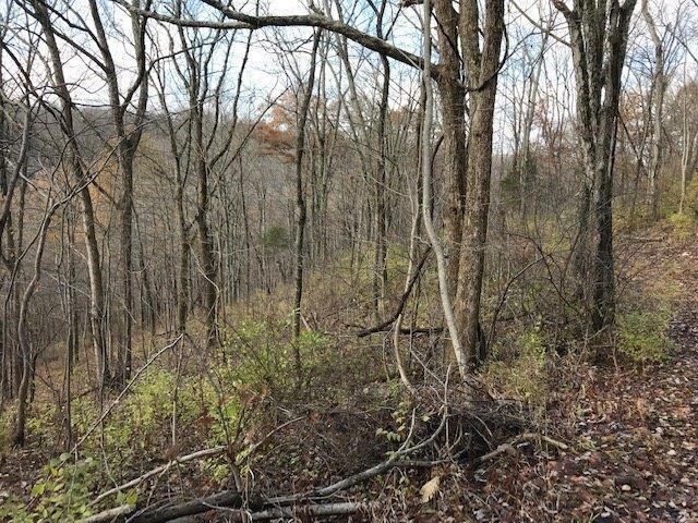0 Buttermilk Run Road Manchester, OH 45144 - Photo 18 of 41