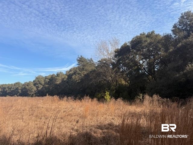 0 Krehling Lane Elberta, AL 36530 - Photo 2 of 10 View of tree filled area