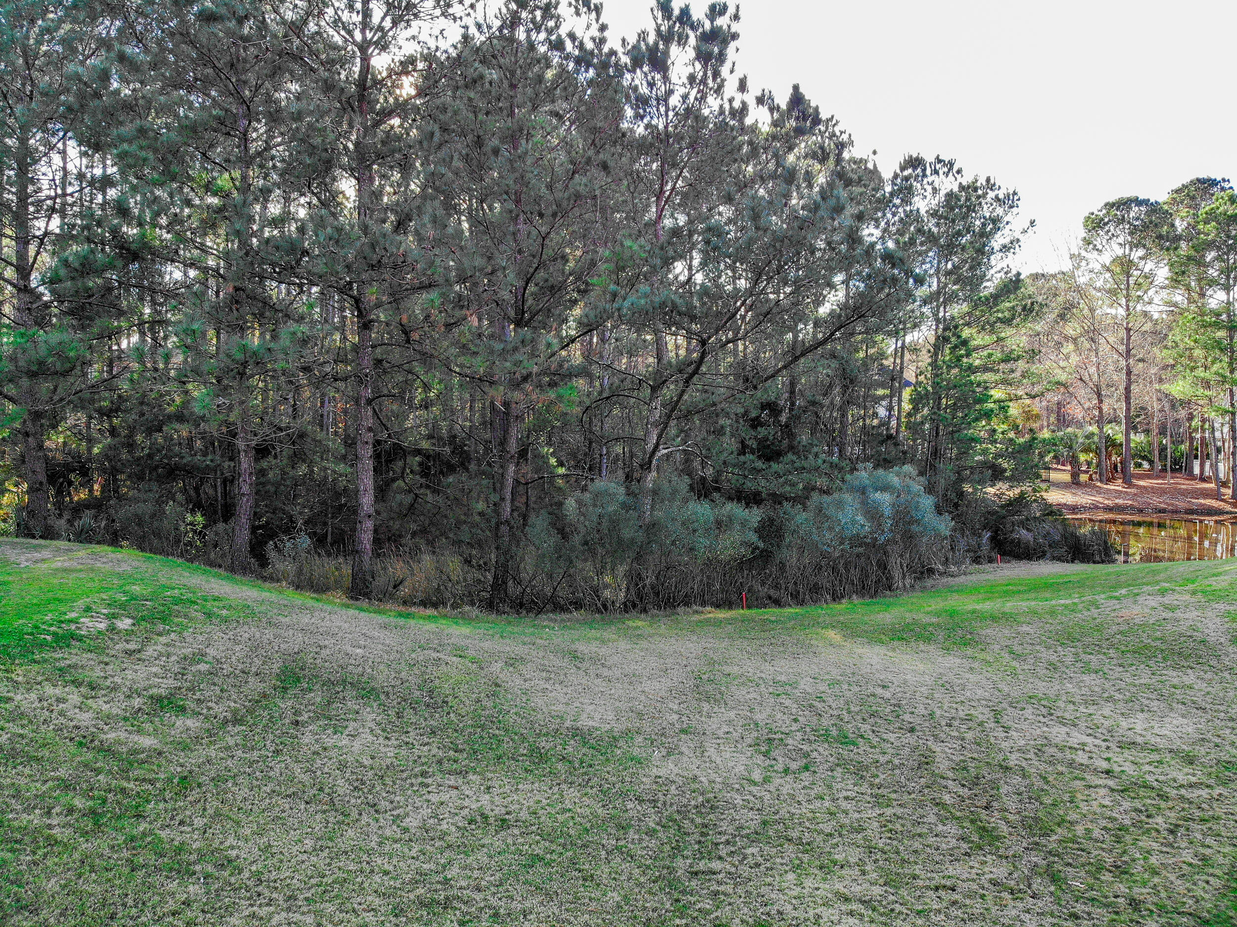 1861 Shell Ring Circle Mount Pleasant, SC 29466 - Photo 6 of 24 IMG_7824