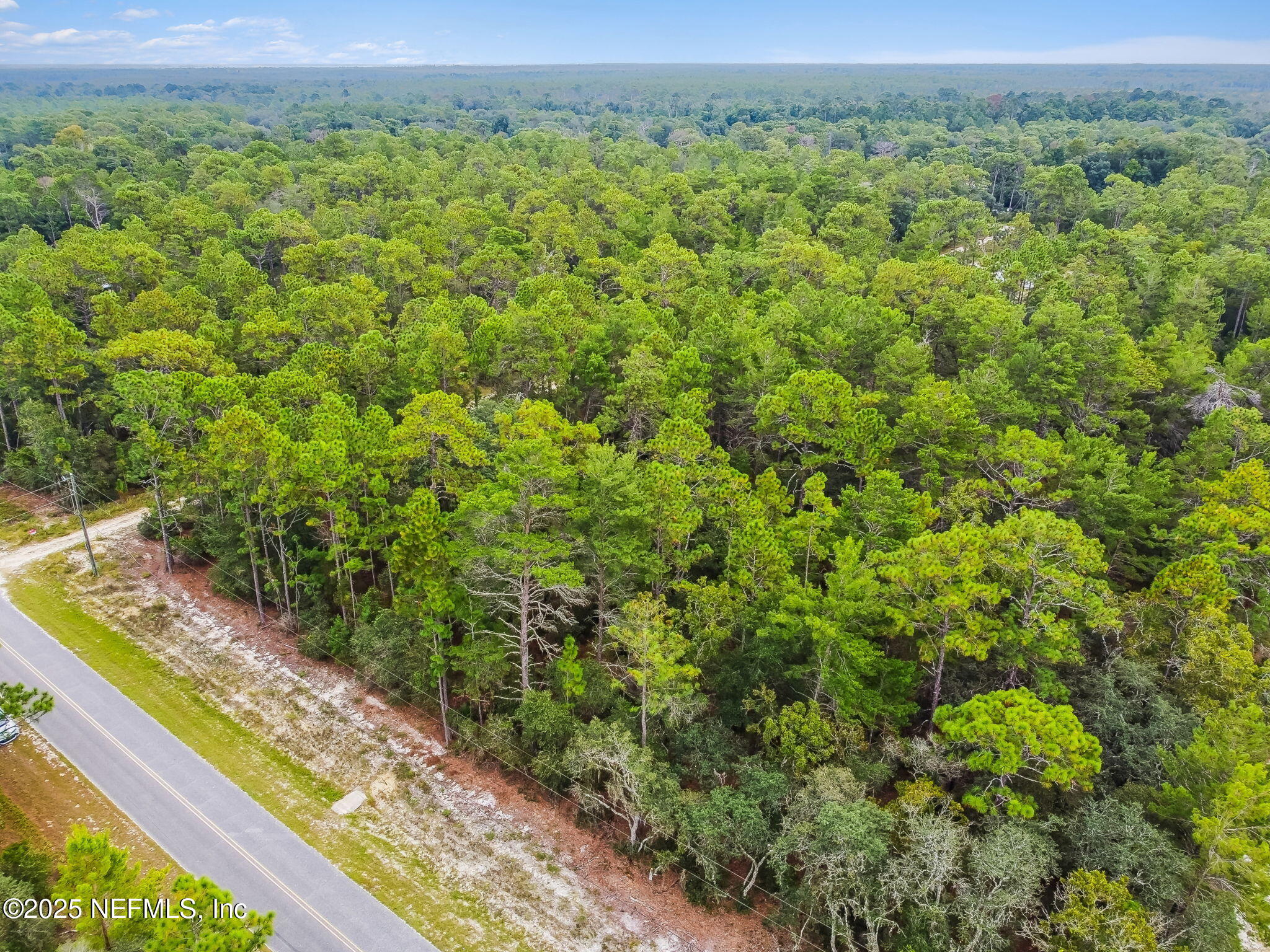 401 Edgehill Road Satsuma, FL 32189 - Photo 11 of 16 14-DJI_0521