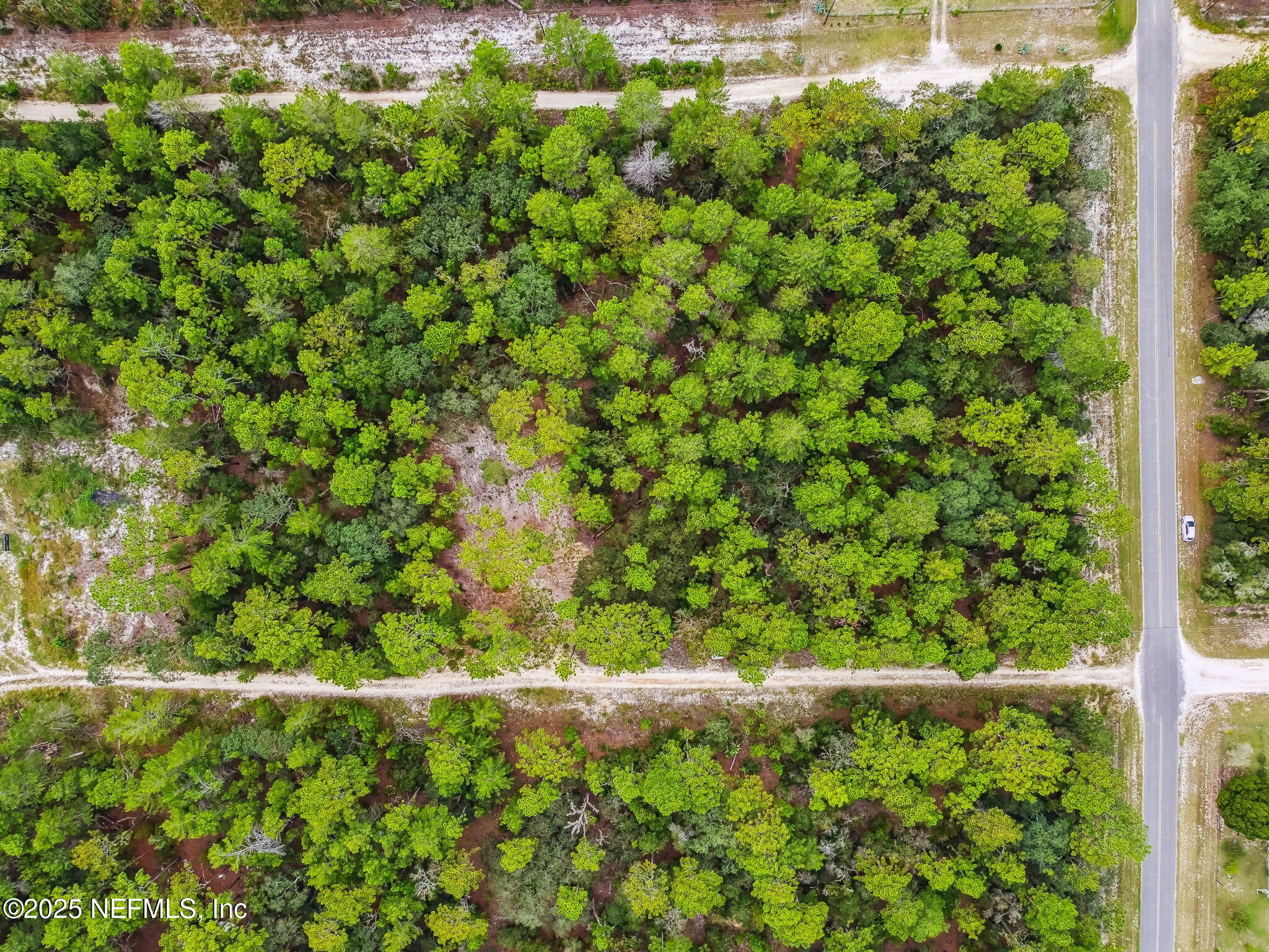 401 Edgehill Road Satsuma, FL 32189 - Photo 13 of 16 10-DJI_0509