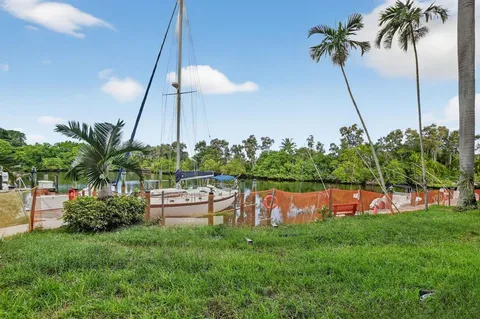 a view of a lake with a palm and palm trees