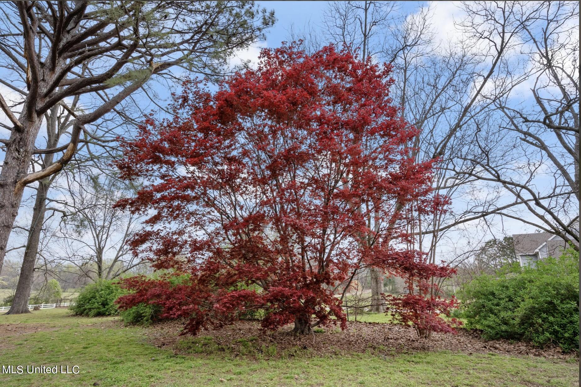 629 Gaines Road Hernando, MS 38632 - Photo 24 of 26 C1D7DEA2-5493-4676-A75E-29C6E91BFC53
