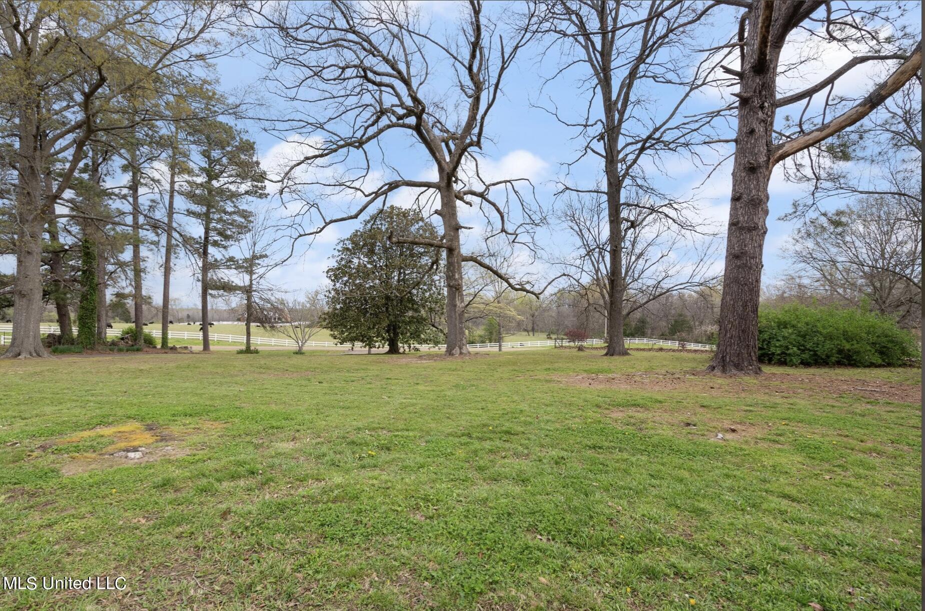 629 Gaines Road Hernando, MS 38632 - Photo 25 of 26 B27EB81B-9E7F-4636-A84C-842E08E6FEC0