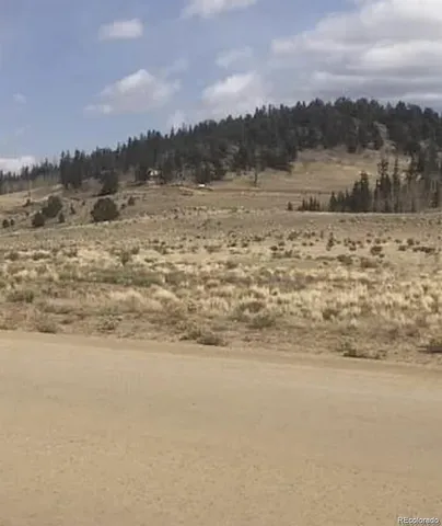 a view of a dry yard with trees