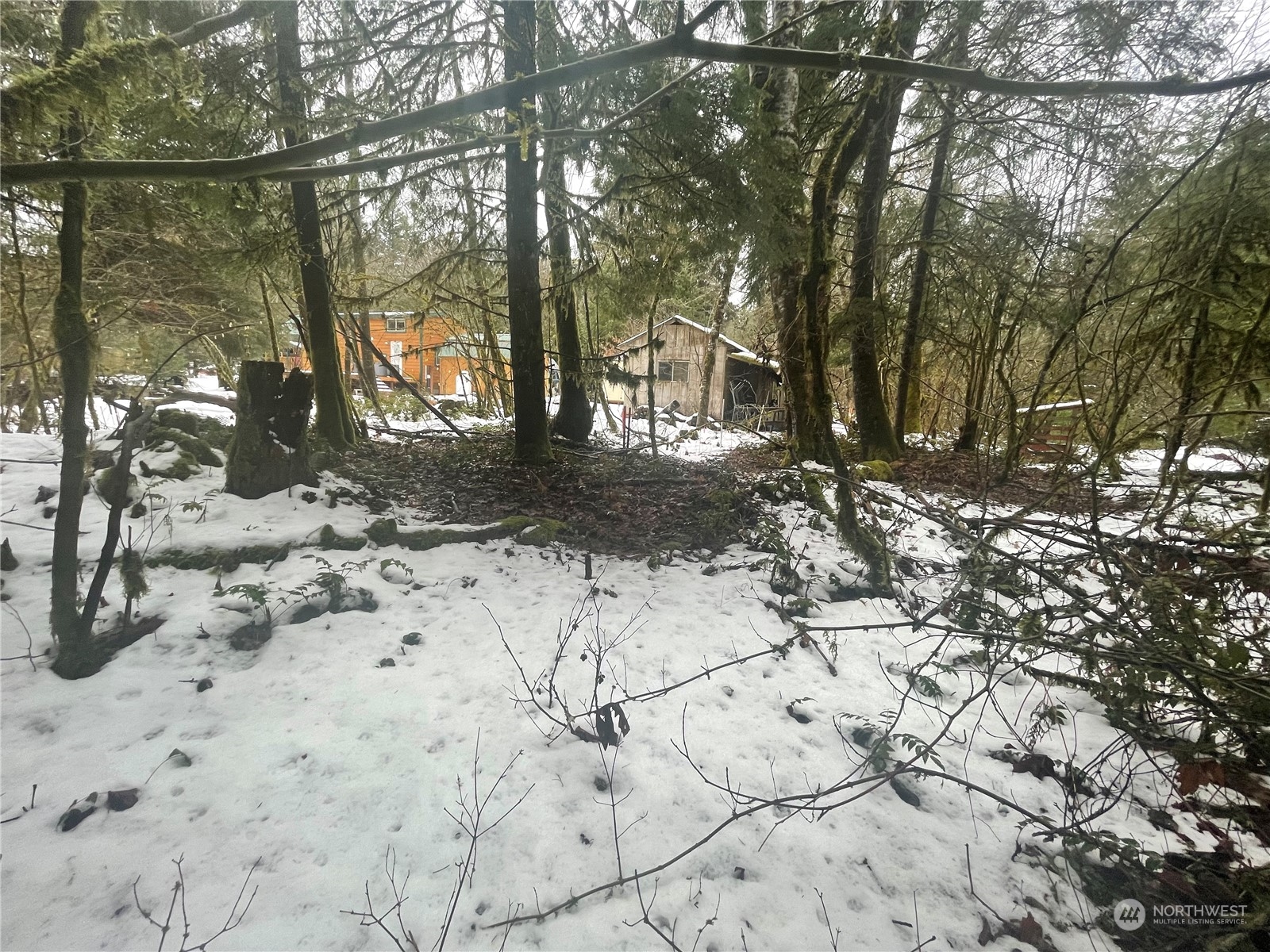 417 Cannon Road Packwood, WA 98361 - Photo 4 of 11 Gallery Image 4