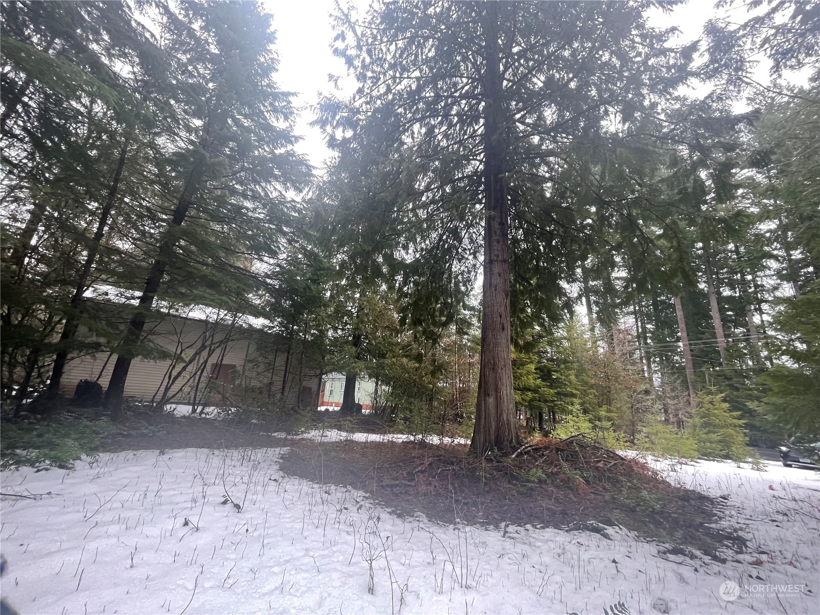 417 Cannon Road Packwood, WA 98361 - Photo 7 of 11 Gallery Image 7