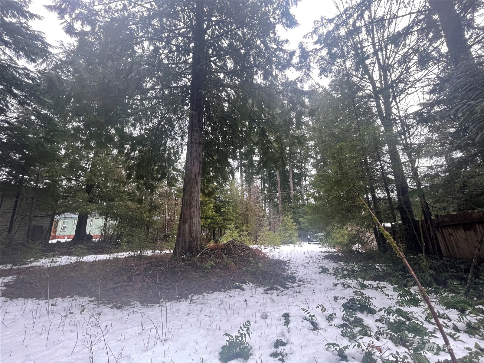 417 Cannon Road Packwood, WA 98361 - Photo 8 of 11 Gallery Image 8