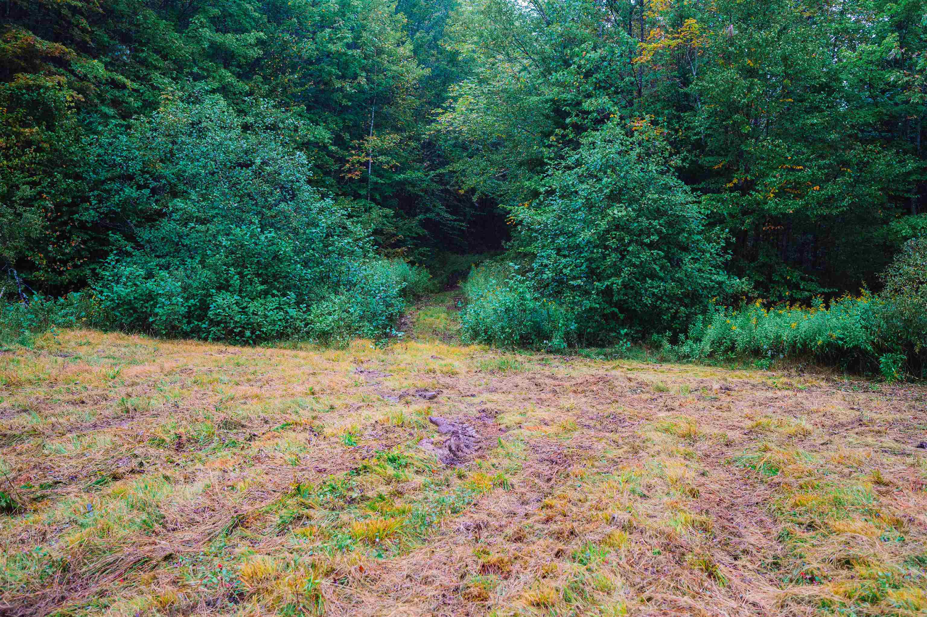 0 Pratt Road Worcester, VT 05682 - Photo 6 of 12