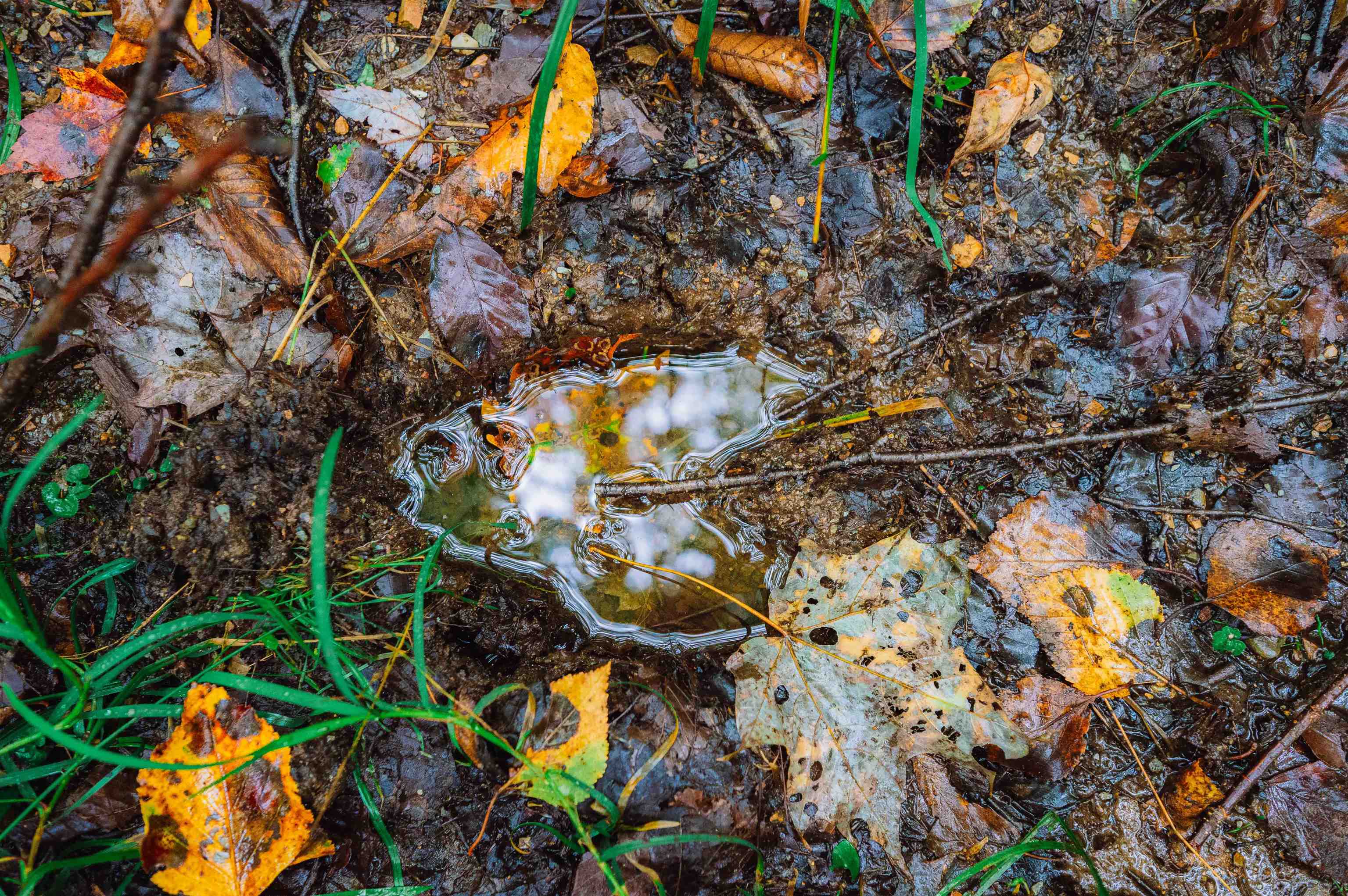 0 Pratt Road Worcester, VT 05682 - Photo 8 of 12