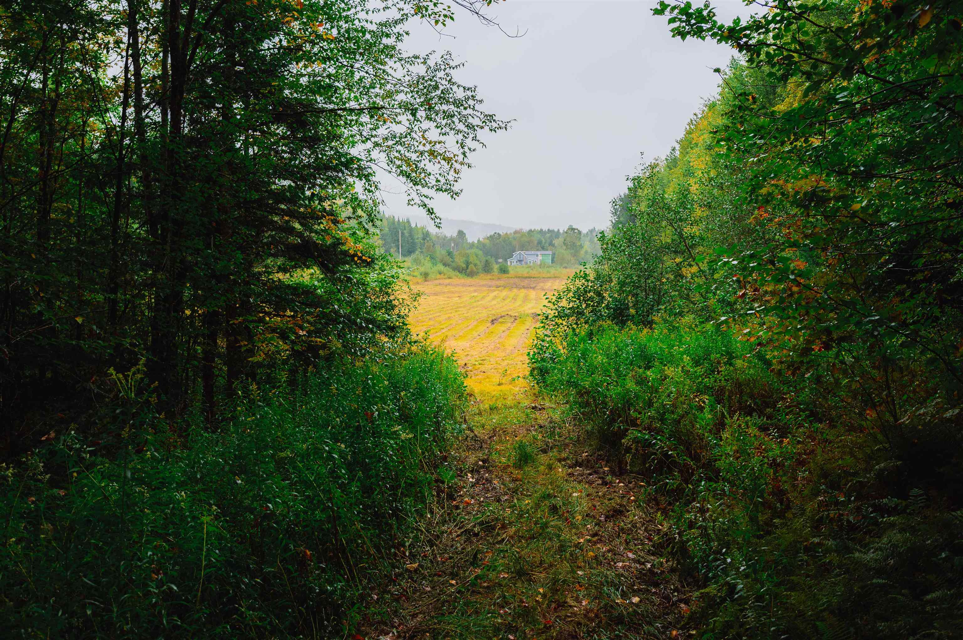 0 Pratt Road Worcester, VT 05682 - Photo 10 of 12