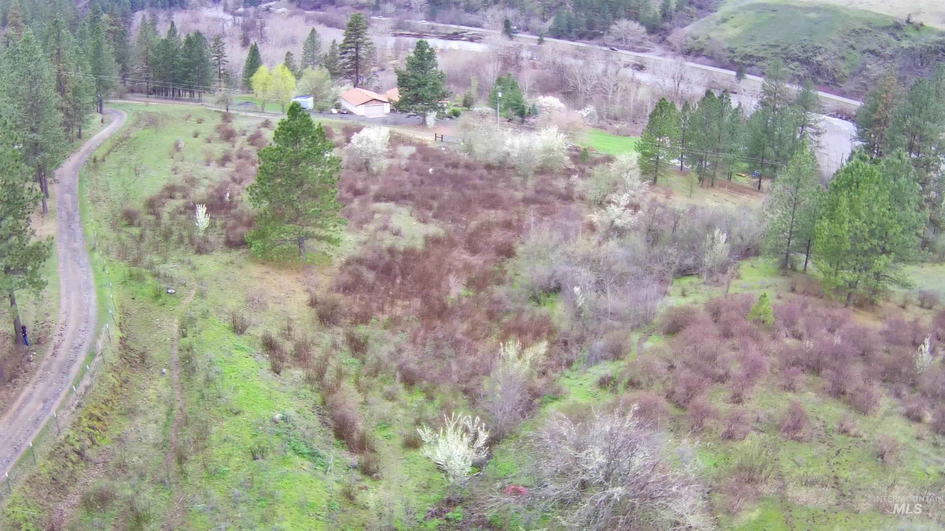 13790 Cross Farm Road Juliaetta, ID 83535 - Photo 10 of 22 View of rural area