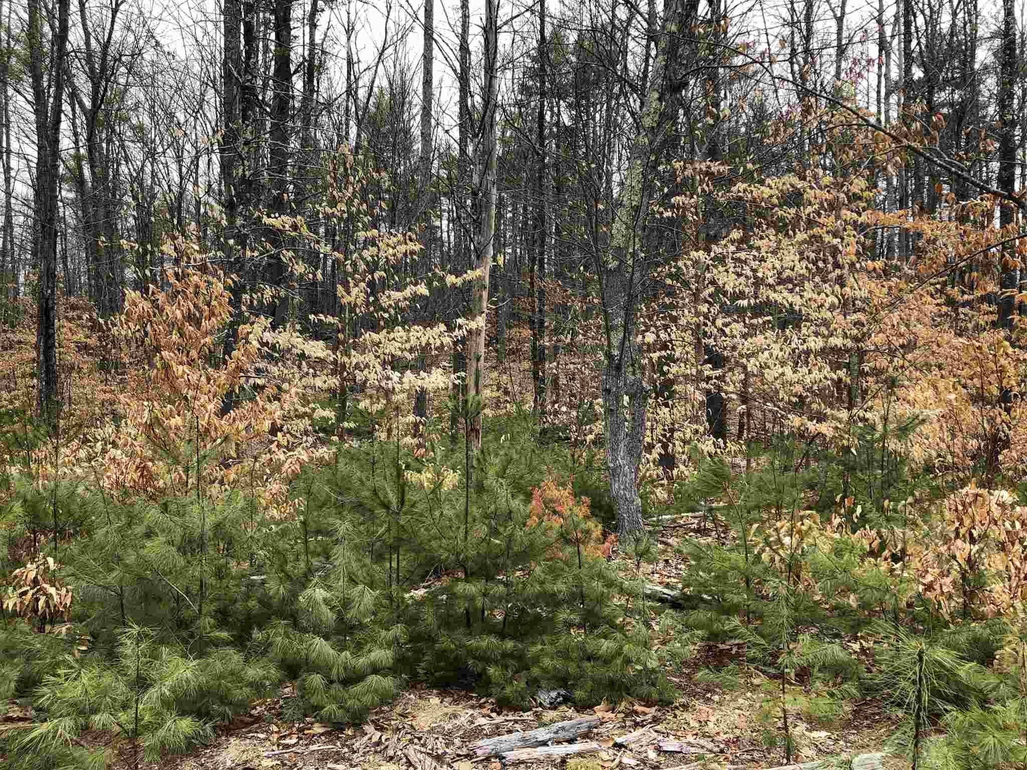 0 Freedom Road Barrington, NH 03825 - Photo 18 of 34