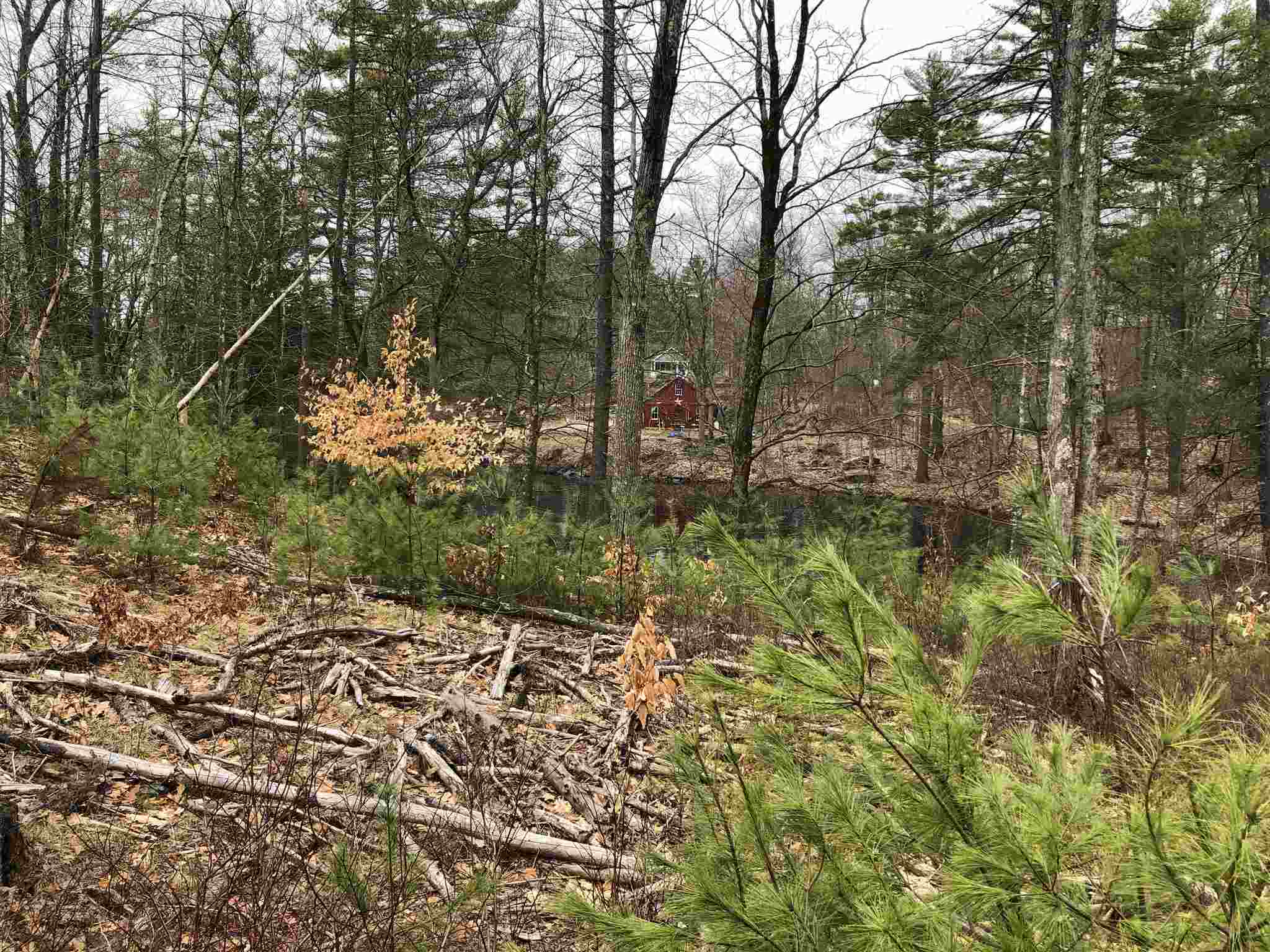 0 Freedom Road Barrington, NH 03825 - Photo 21 of 34