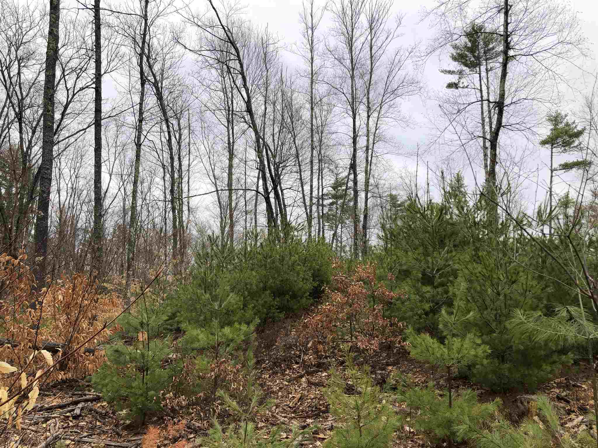 0 Freedom Road Barrington, NH 03825 - Photo 22 of 34