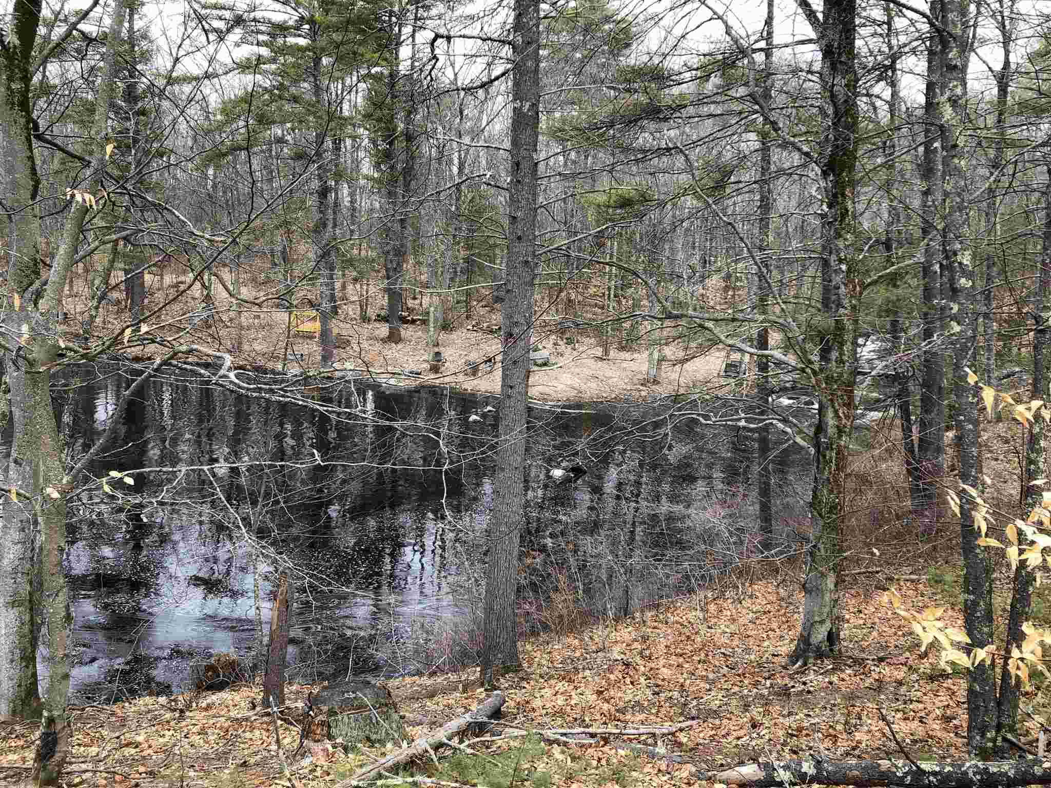 0 Freedom Road Barrington, NH 03825 - Photo 23 of 34