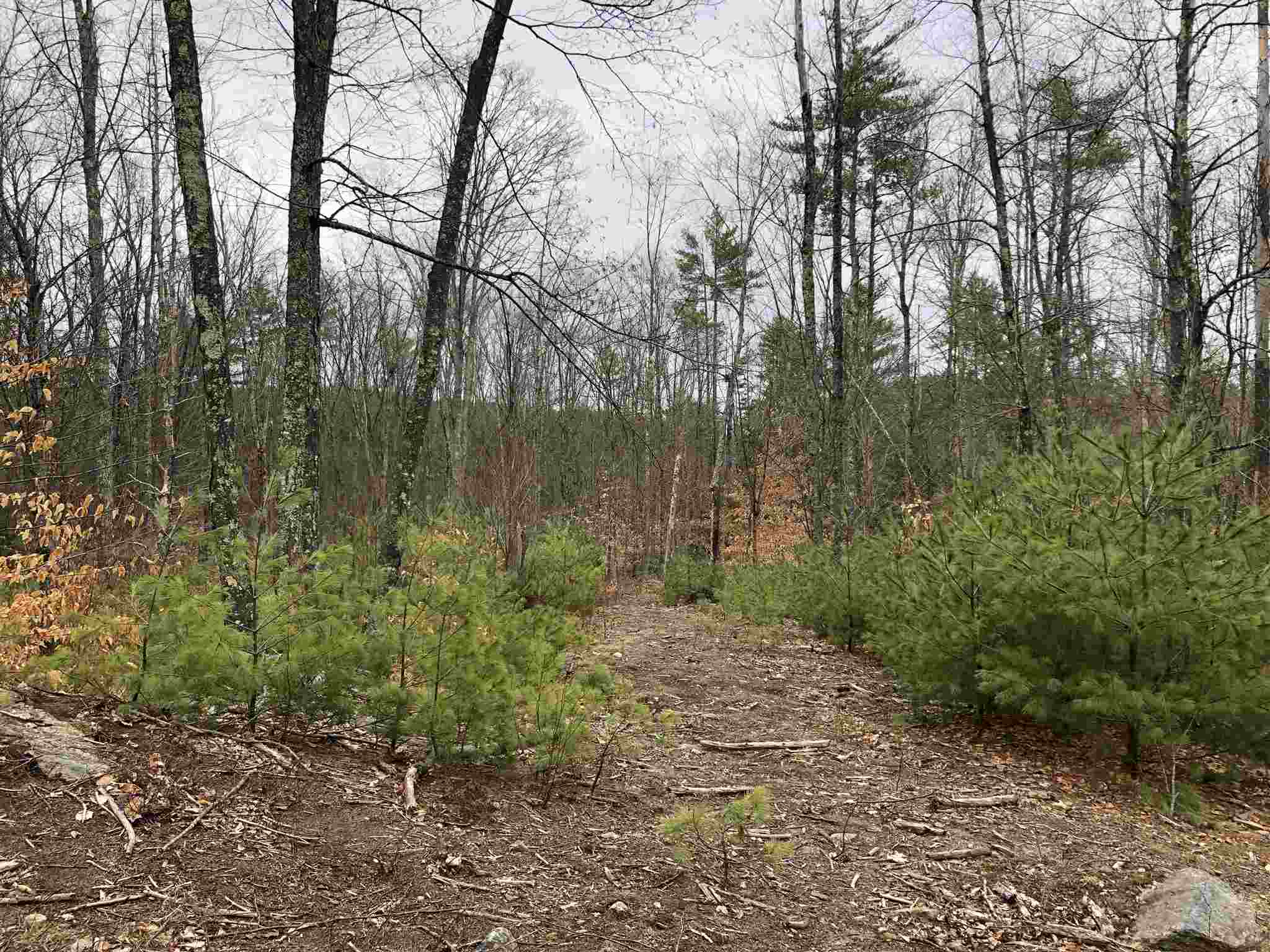 0 Freedom Road Barrington, NH 03825 - Photo 24 of 34