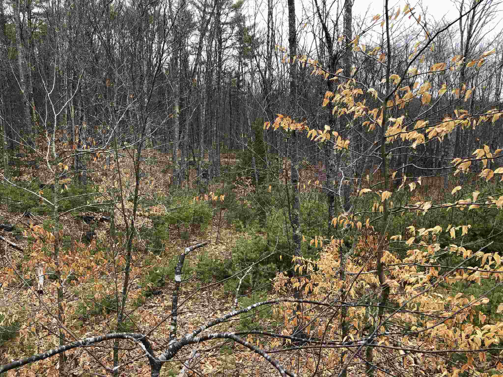 0 Freedom Road Barrington, NH 03825 - Photo 25 of 34