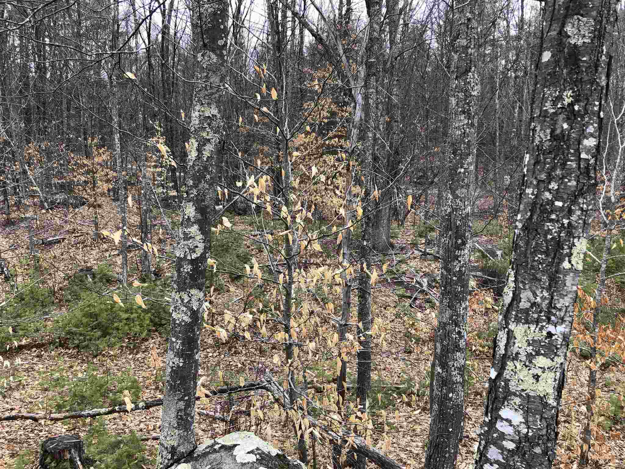 0 Freedom Road Barrington, NH 03825 - Photo 26 of 34