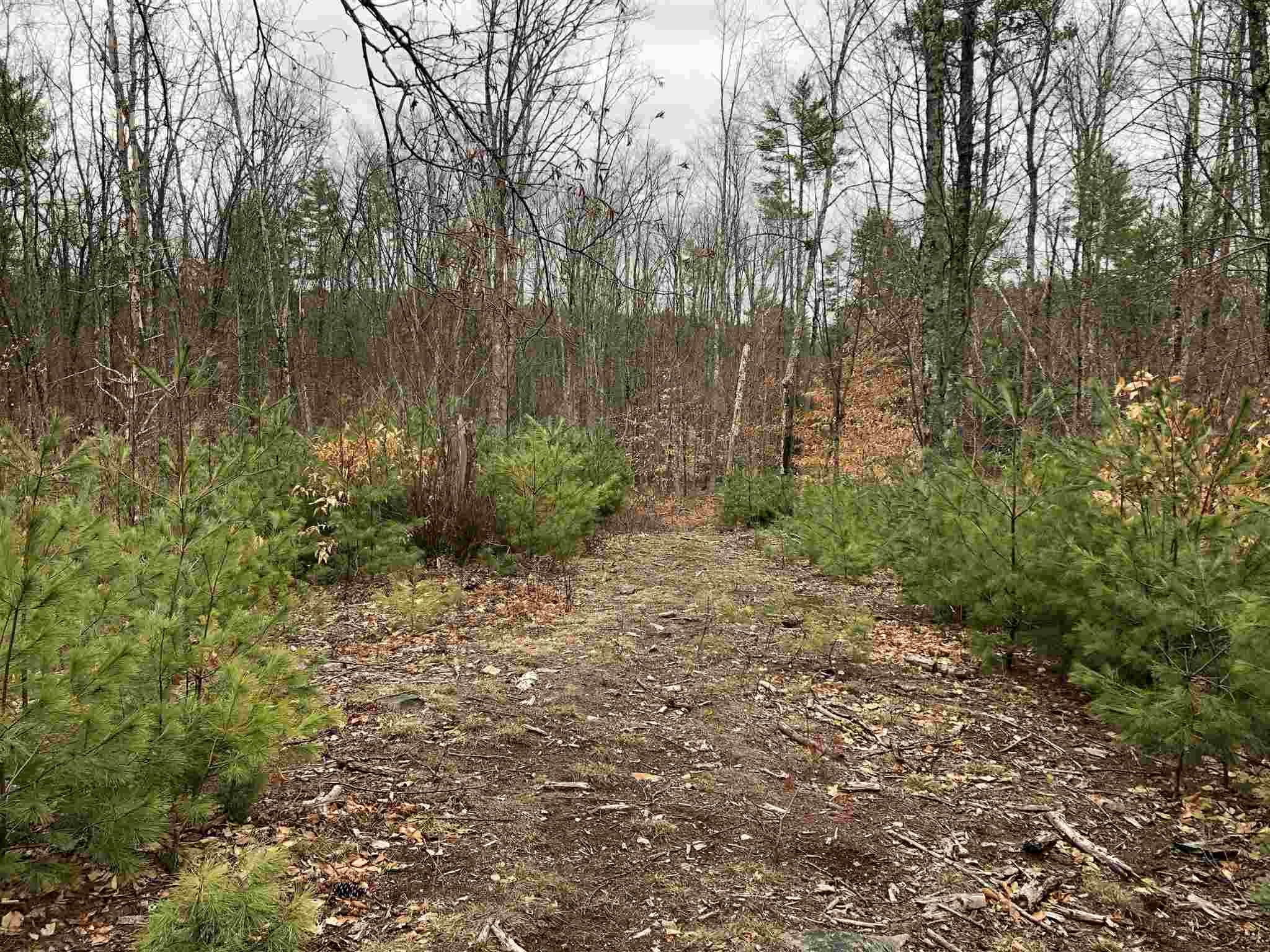 0 Freedom Road Barrington, NH 03825 - Photo 28 of 34