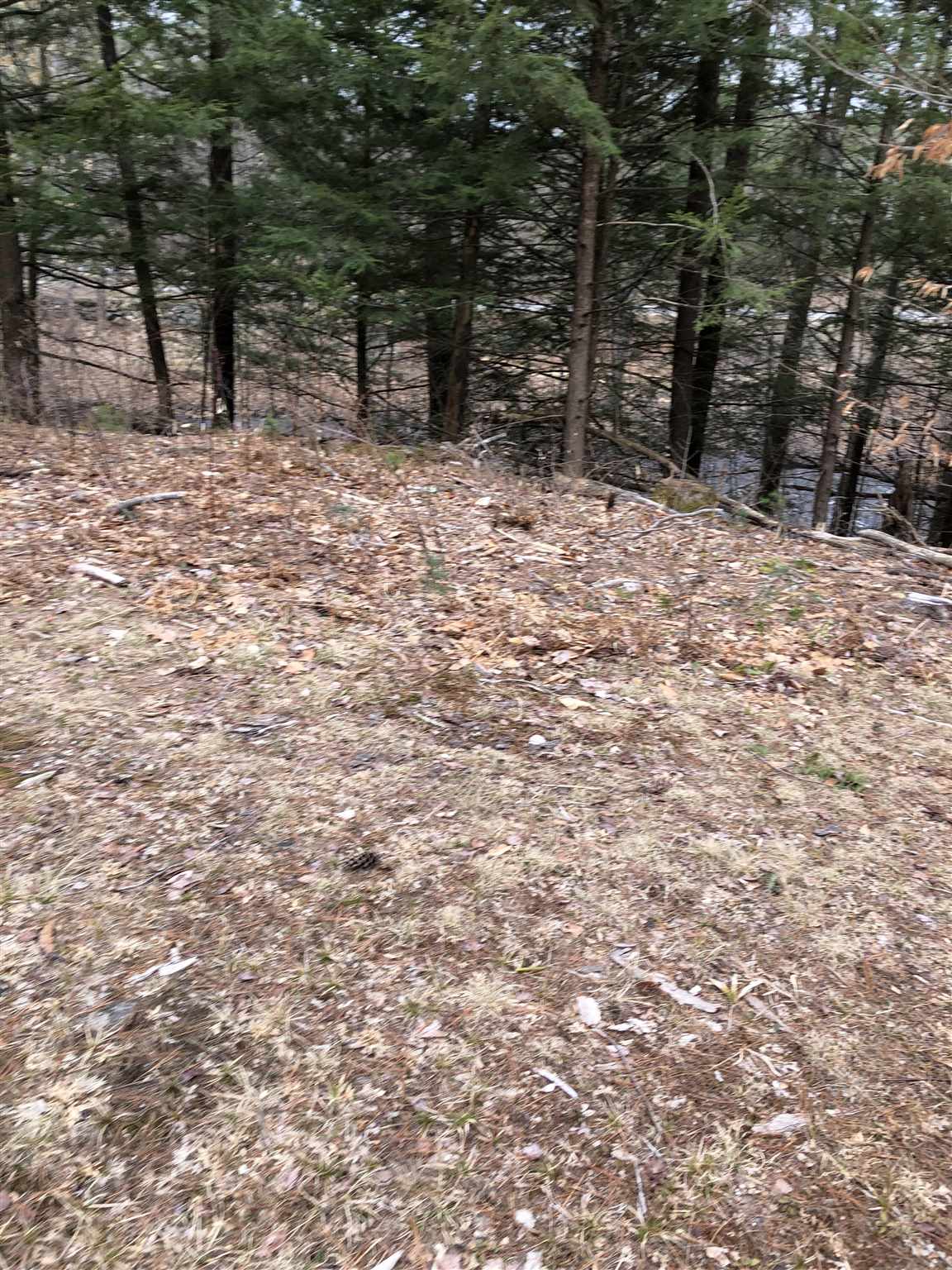 0 Freedom Road Barrington, NH 03825 - Photo 33 of 34
