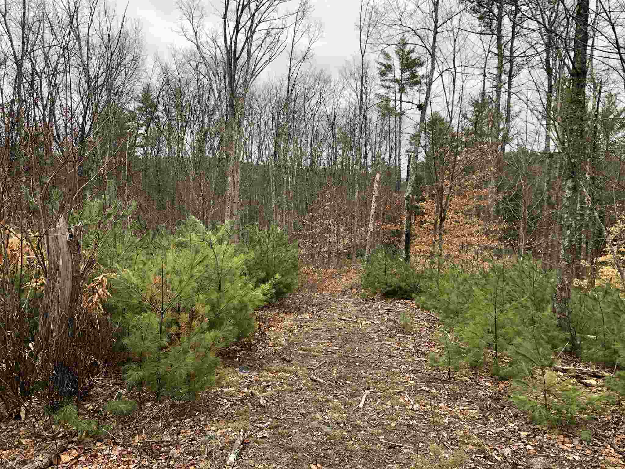 0 Freedom Road Barrington, NH 03825 - Photo 6 of 34