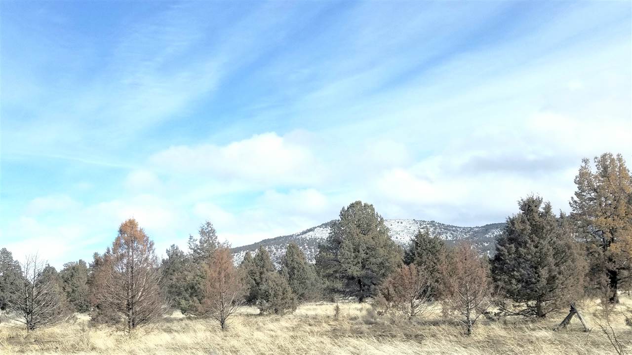 3616 Lazy Ranch Road Macdoel, CA 96058 - Photo 17 of 17 Gallery Image 17