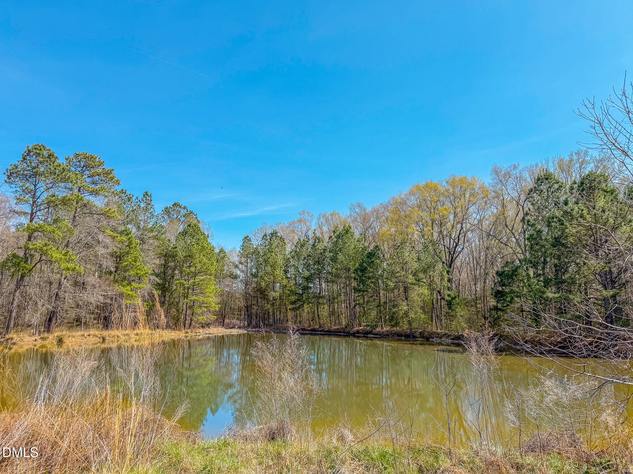 1001 Charlie Reade Road Timberlake, NC 27583 - Photo 18 of 64 a view of lake with green space