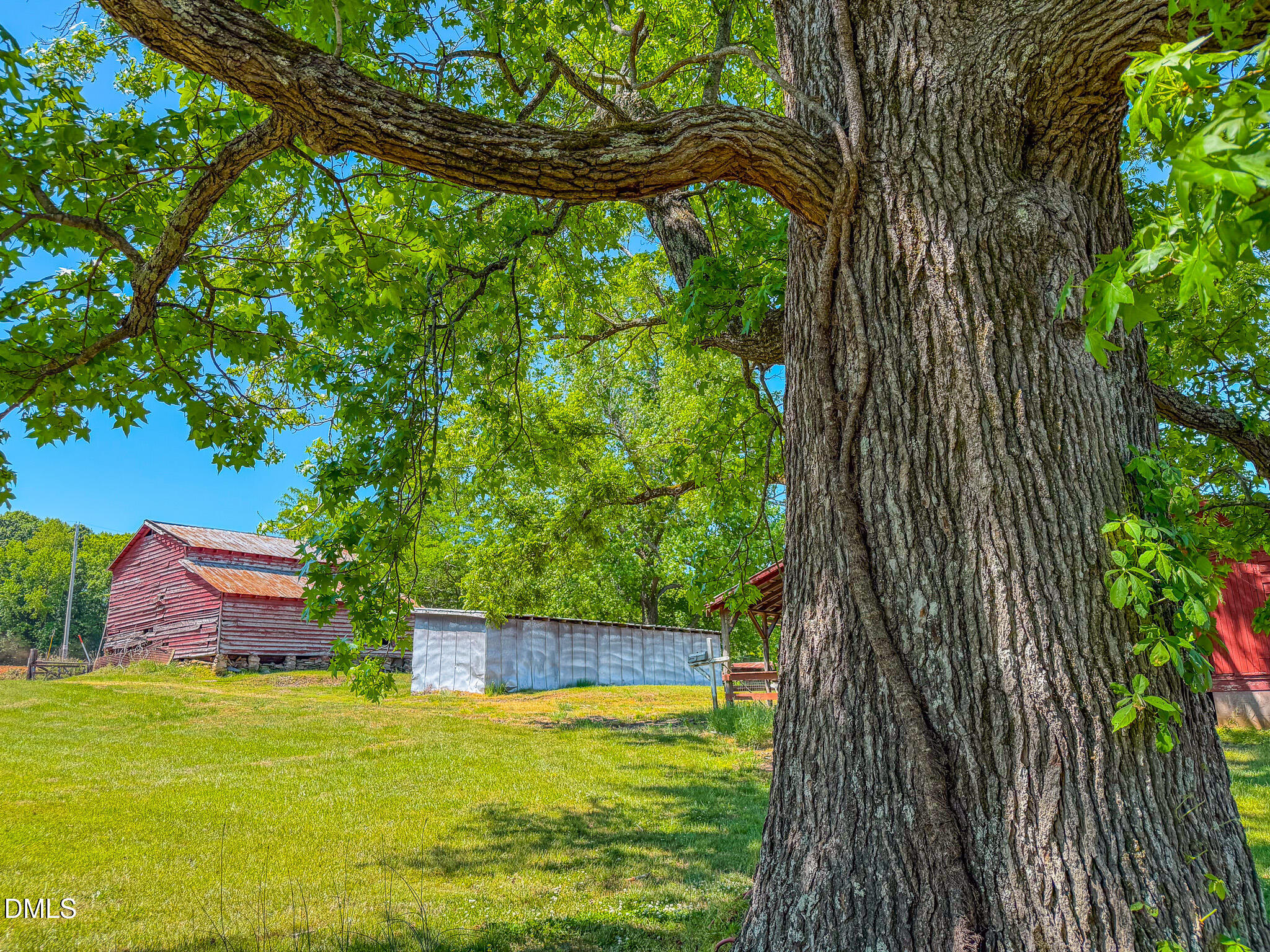 1001 Charlie Reade Road Timberlake, NC 27583 - Photo 53 of 64 52