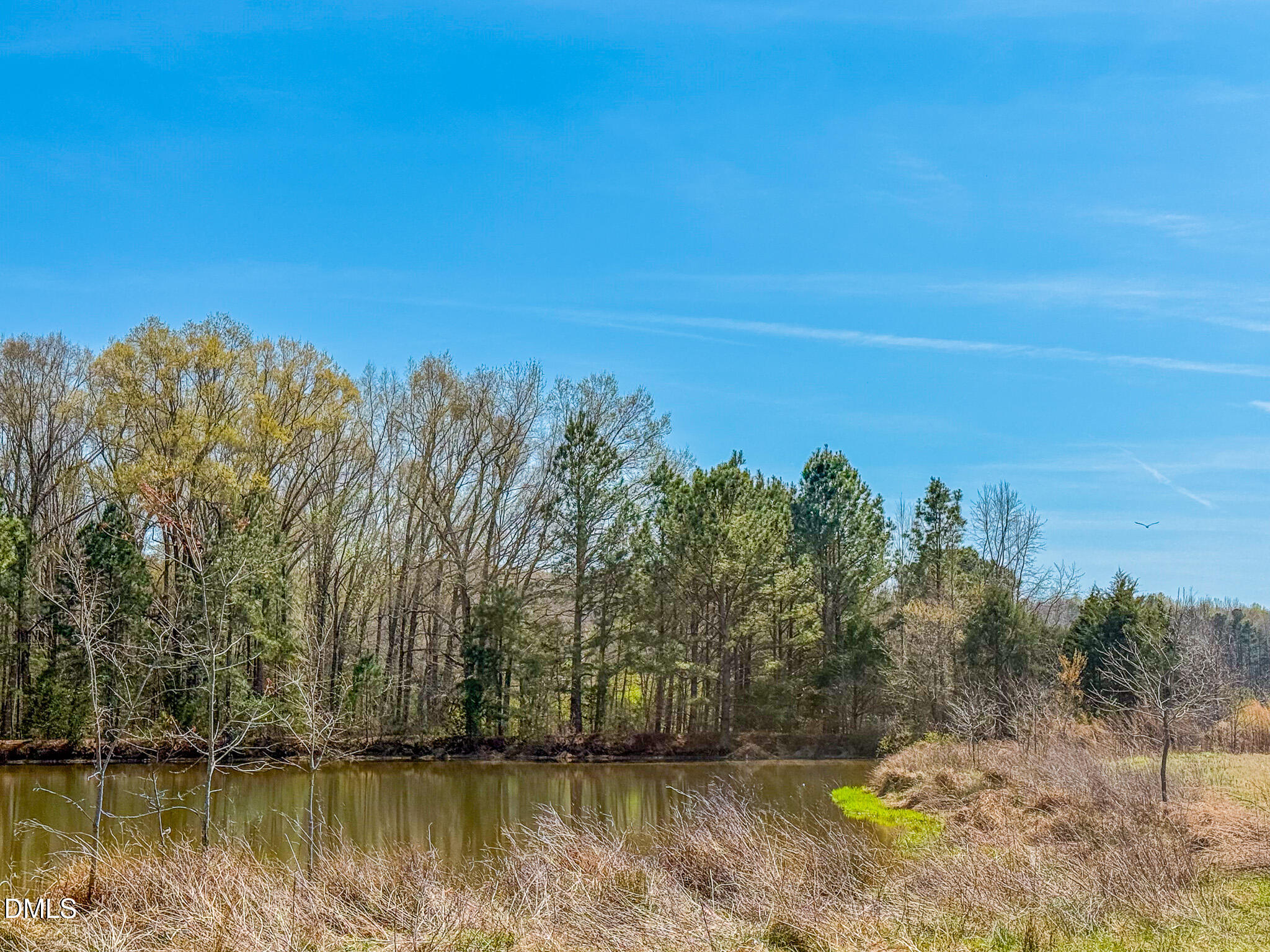 1001 Charlie Reade Road Timberlake, NC 27583 - Photo 60 of 64 a view of a lake with a mountain in the background