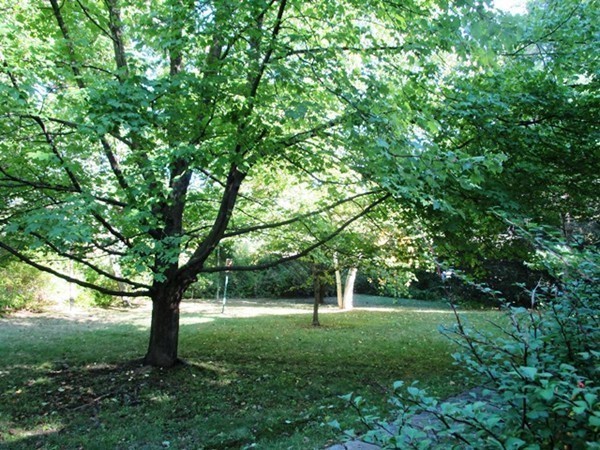 352 Spring Street Shrewsbury, MA 01545 - Photo 25 of 29 Gallery Image 25