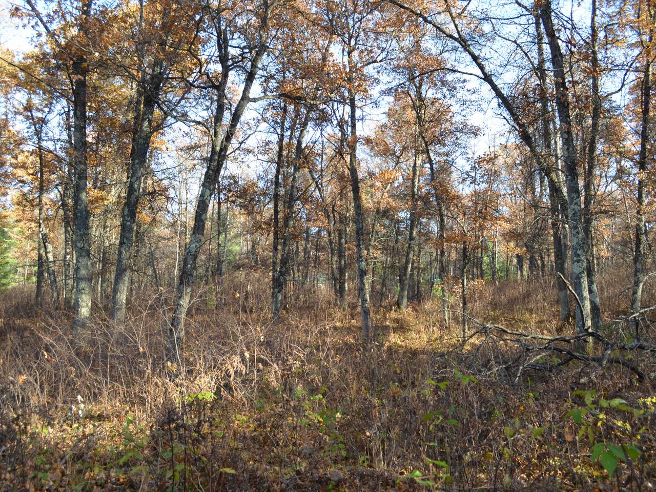 Lot 12 Wind Song Road Tomahawk, WI 54487 - Photo 16 of 20 Gallery Image 16