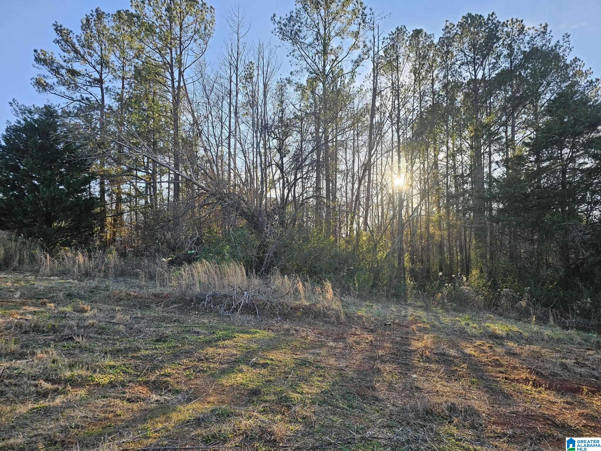 0 Peaceful Valley Road Eastaboga, AL 36260 - Photo 6 of 15