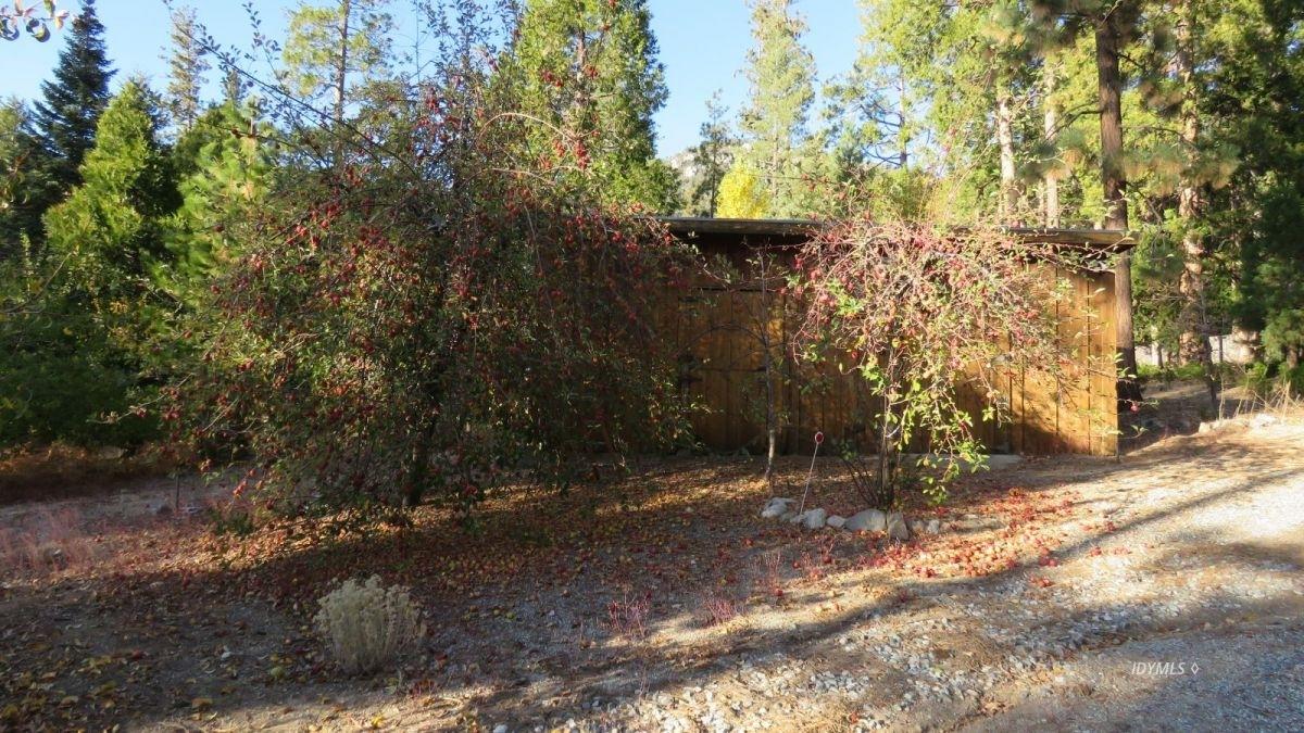 25160 Lodge Road Idyllwild, CA 92549 - Photo 11 of 14 11