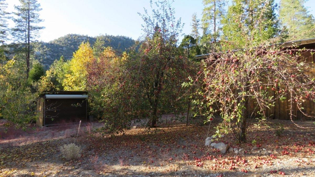 25160 Lodge Road Idyllwild, CA 92549 - Photo 13 of 14 13