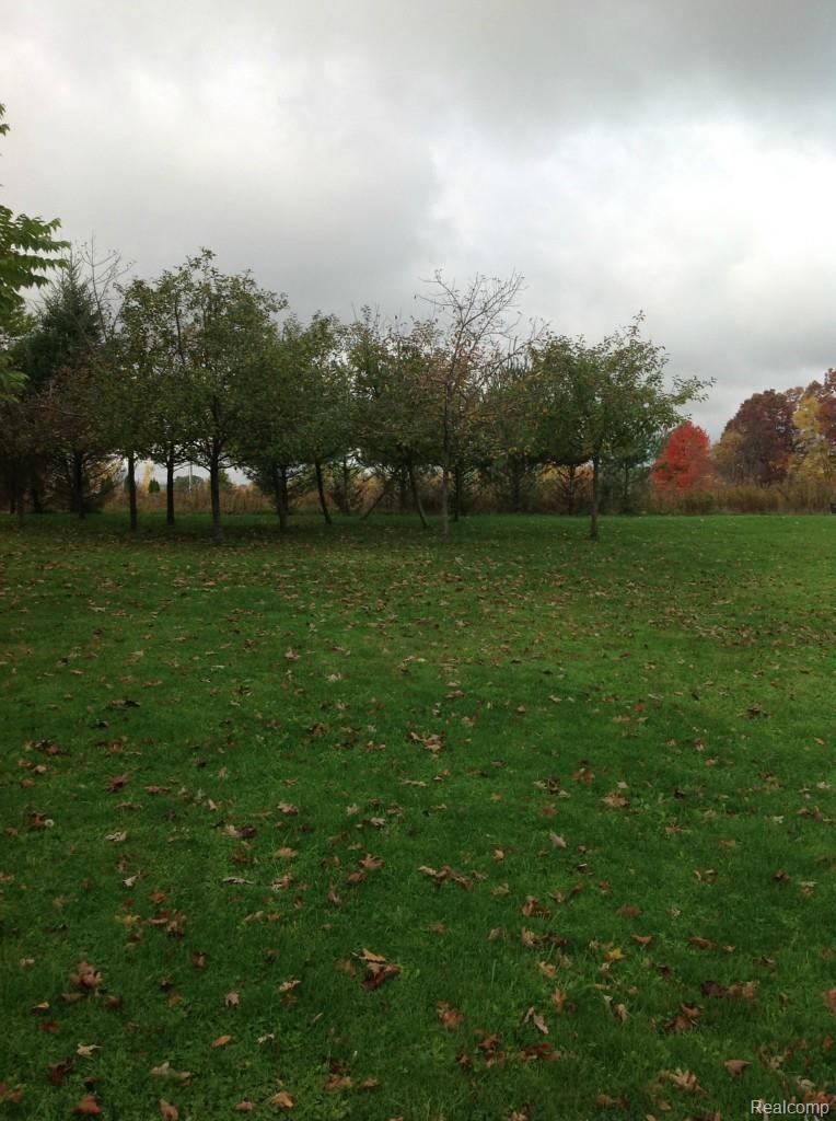 6147 Willis Road North Branch, MI 48461 - Photo 23 of 41 Beautiful views of Orchard off of 4 Season Room from Master Bed