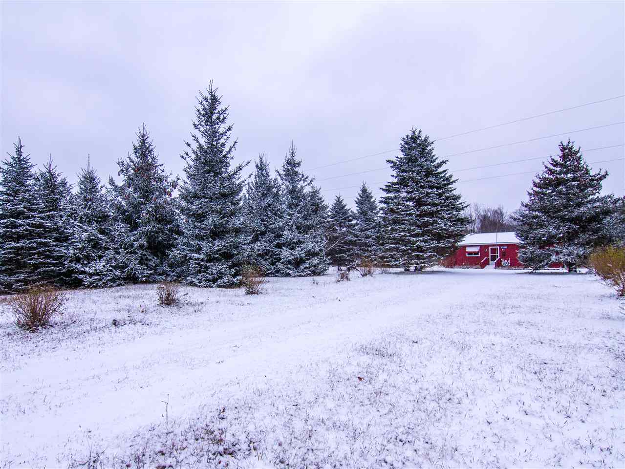 16579 Viaduct Road Copemish, MI 49625 - Photo 20 of 27 1841314-19.JPG