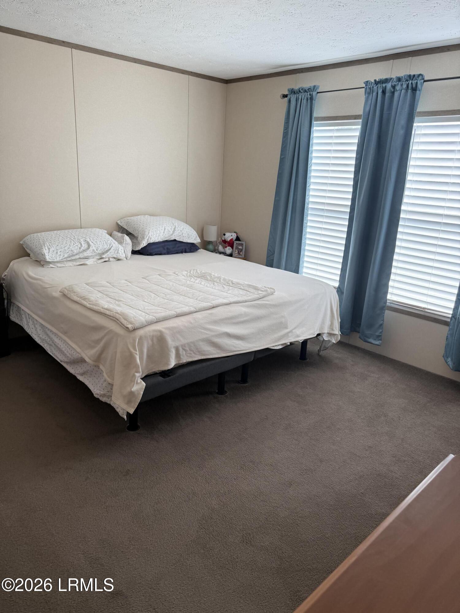 6204 Badham Drive Reevesville, SC 29471 - Photo 13 of 32 IMG_1659