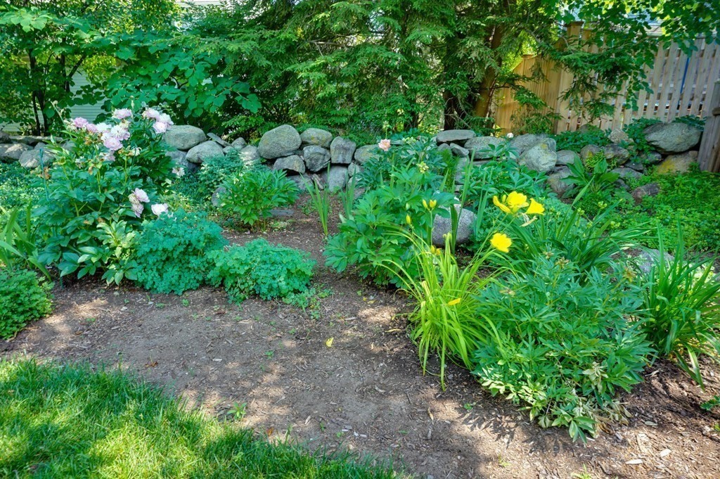45 Horace Road Belmont, MA 02478 - Photo 37 of 41 Gallery Image 37