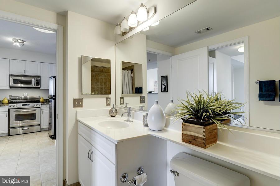 555 Massachusetts Avenue Northwest, Unit 806 Washington, DC 20001 - Photo 14 of 22 a bathroom with a sink a faucet a potted plant and a mirror