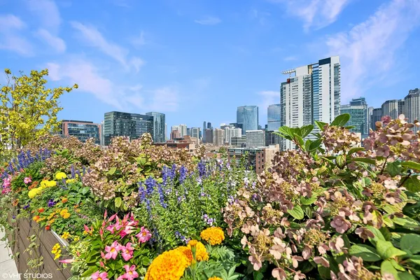 a view of patio with chairs and potted plants