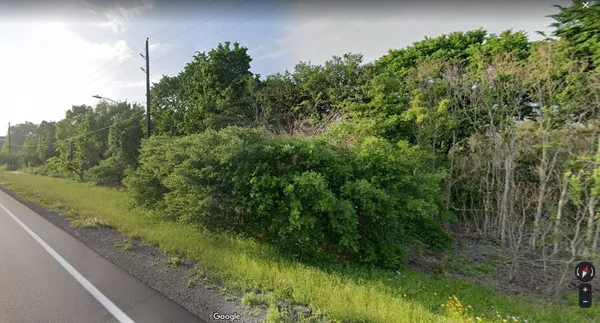 a view of a garden with a tree