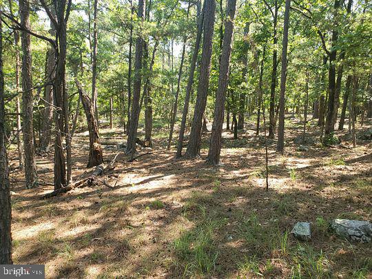 355 Lebanon Road Millville, NJ 08332 - Photo 1 of 1